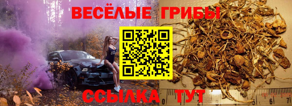 Псилоцибиновые грибы MAGIC MUSHROOMS Рубцовск