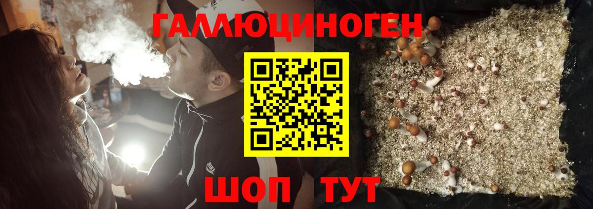 Рубцовск  Галлюциногенные грибы MAGIC MUSHROOMS  Вход с VPN 